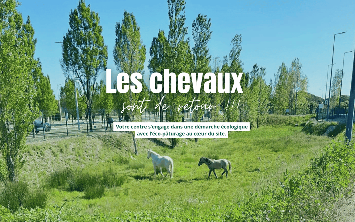 Eco paturage