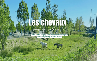 Les chevaux sont de retour à Family Village !